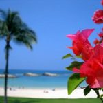 ハワイで日焼け止め規制法が成立！皮膚がんのリスクは？